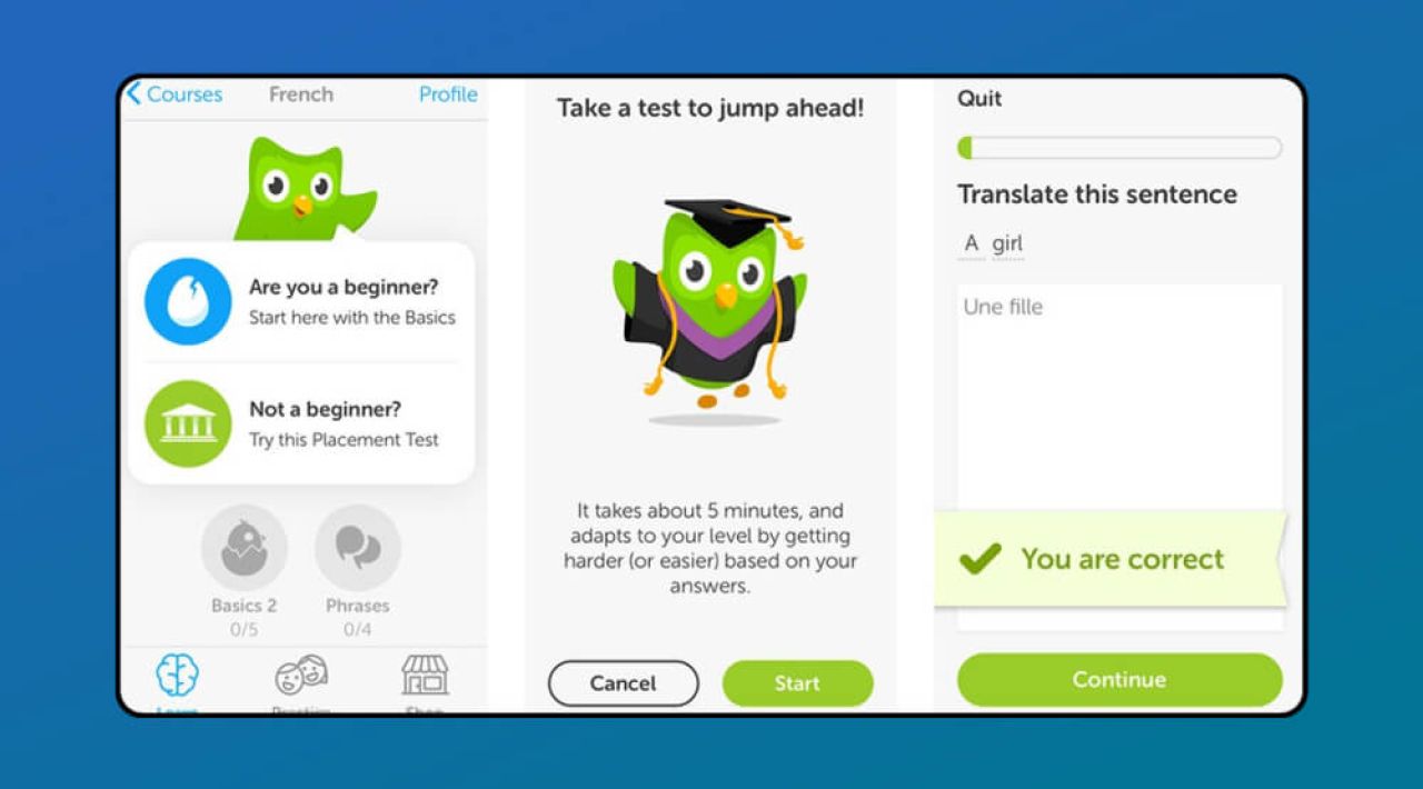Microlearning in Duolingo
