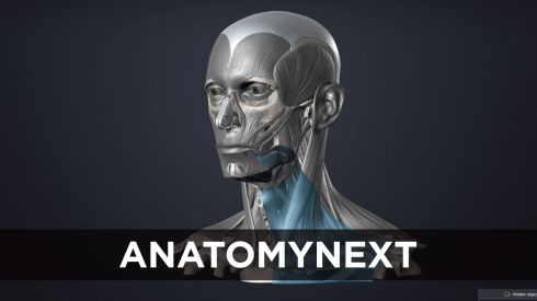 AnatomyNext