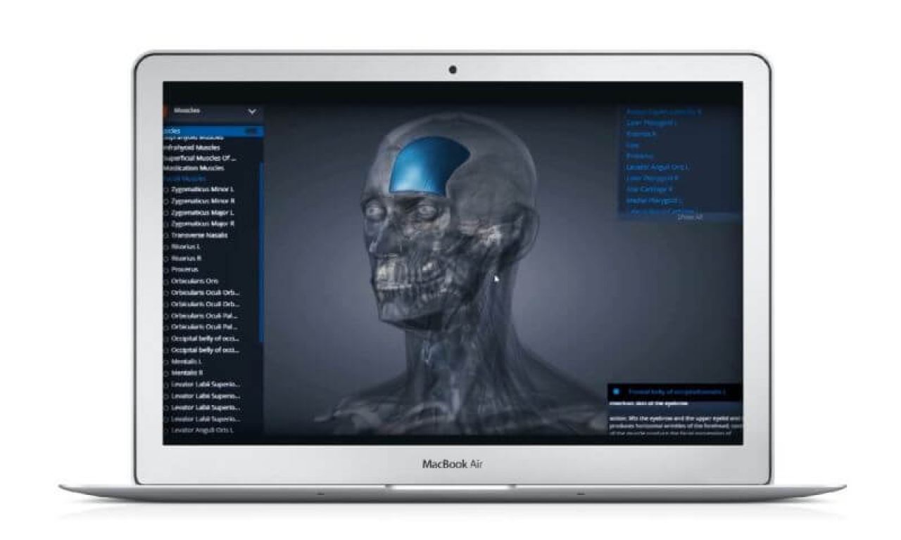 AnatomyNext - Software capability