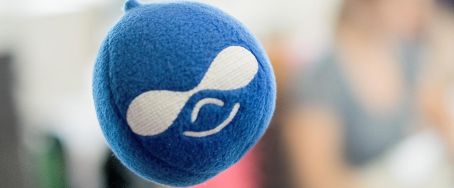 What Drupal developers can